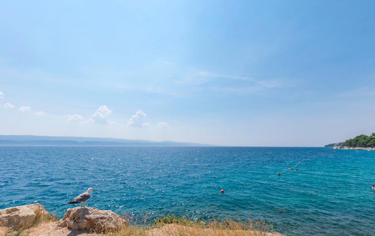 Apartman Mirko